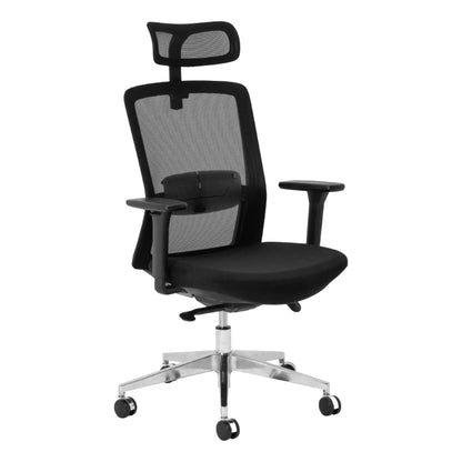 Aila Ergo Therapy Chrome High-Back Office Chair 