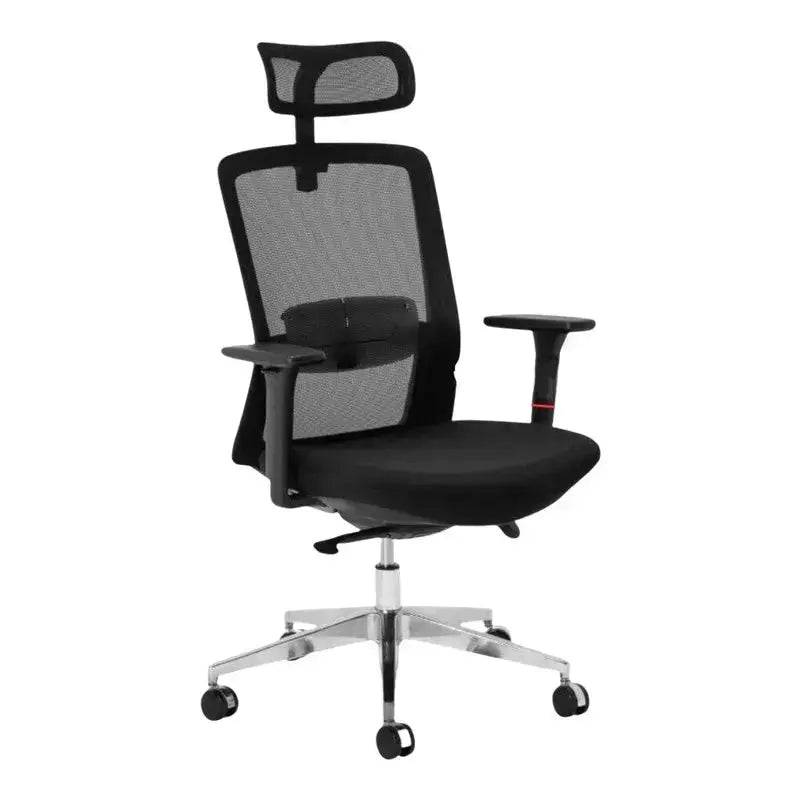 Black mesh Ergo Therapy High-Back Office Chair with headrest and adjustable armrests