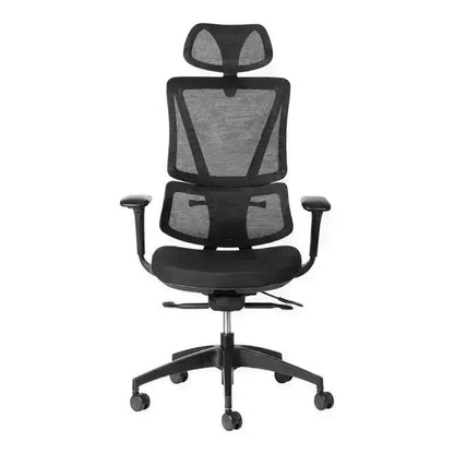 Black Ergoback Mesh Executive High-Back Office Chair with headrest and adjustable armrests