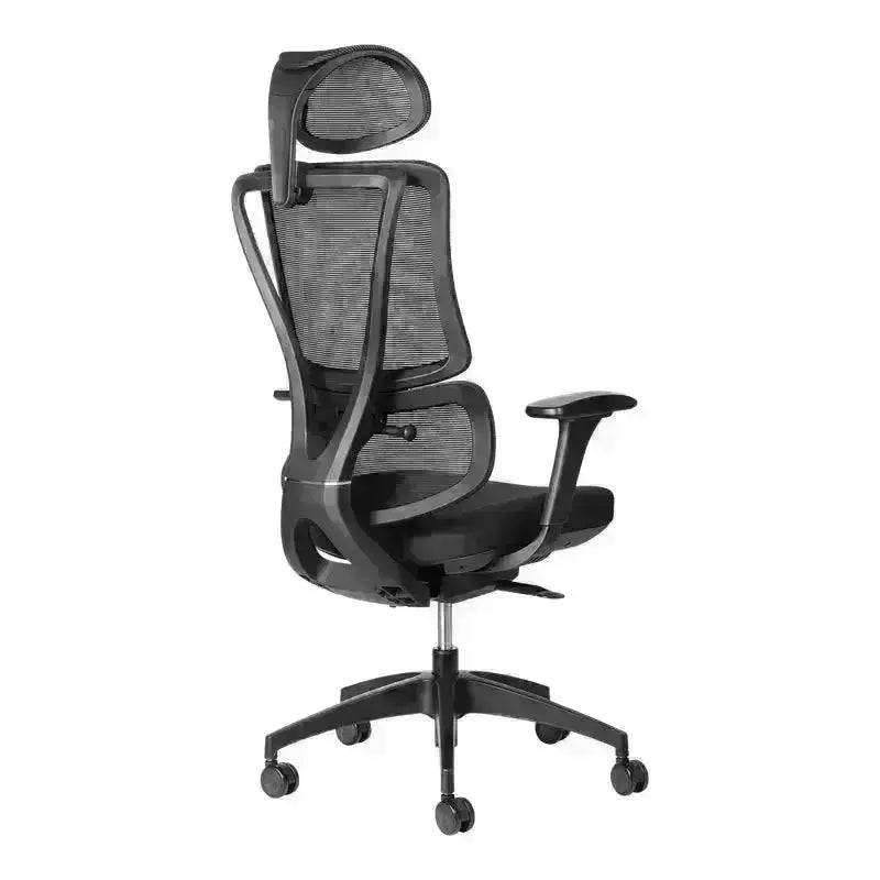 Black Ergoback Mesh Executive High-Back Office Chair with Headrest and adjustable armrests