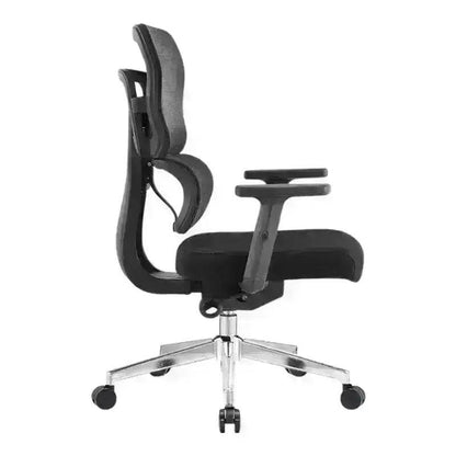 Ergo High-Back Office Chair with Chrome Base, Mesh Backrest and Adjustable Armrests